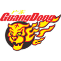 Logo đội bóng 'Những chú hổ miền Nam Quảng Đông'