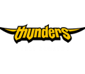 Logo Seoul Samsung Thunders