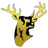 Logo của đội San Sebastian Golden Stags (Đội trẻ)